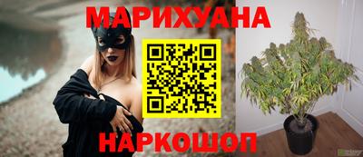 сатива Пугачёв