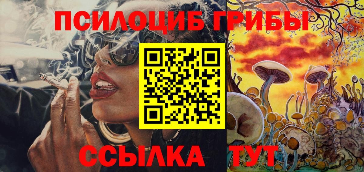 Псилоцибиновые грибы прущие грибы  цена наркотик  Галлюциногенные грибы MAGIC MUSHROOMS  Рассказово  Вход с VPN 