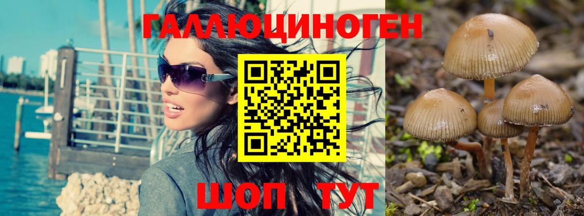 Псилоцибиновые грибы ЛСД Рассказово